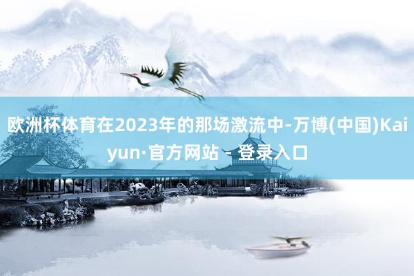 欧洲杯体育在2023年的那场激流中-万博(中国)Kaiyun·官方网站 - 登录入口